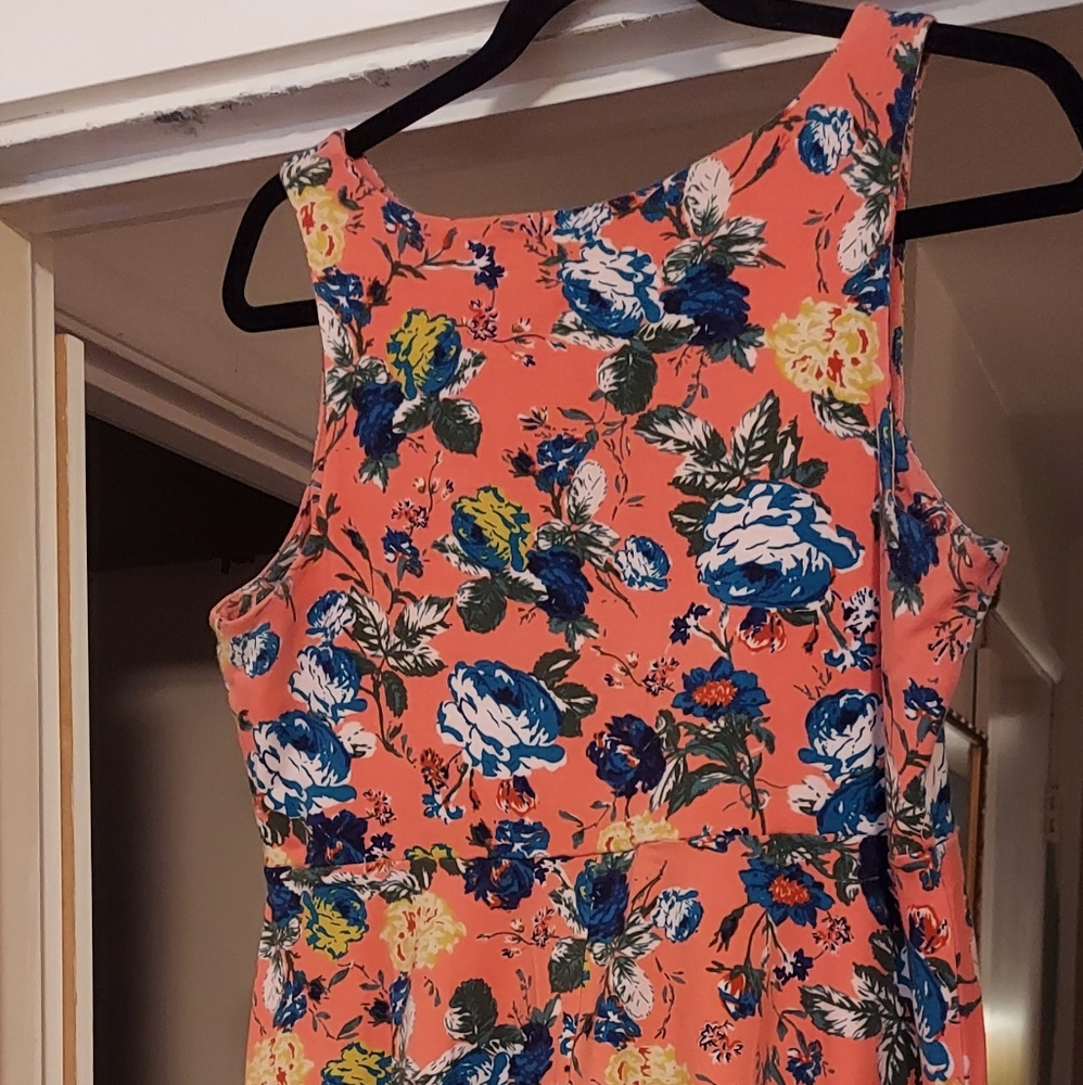 Xhilaration Vibrant Orange and Blue Floral Top